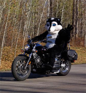 skelly the skunk on a motorbike